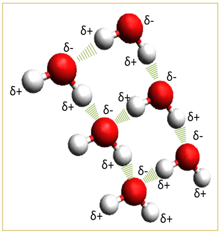 forze di van der Waals